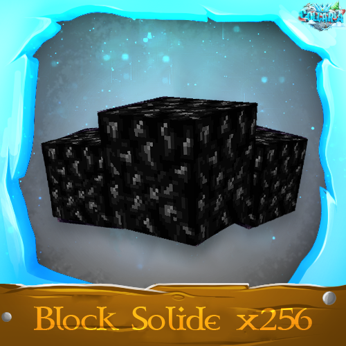 Block Solide (x256)